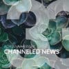 25. August: Live Channeled NEWS Nr. 33